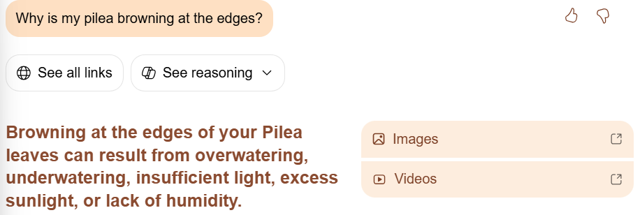 Screenshot of 'See all links' Button in the Copilot Search interface.